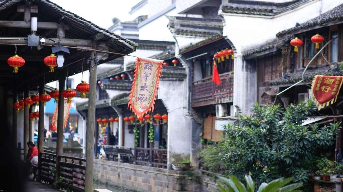 萌犬记忆卡